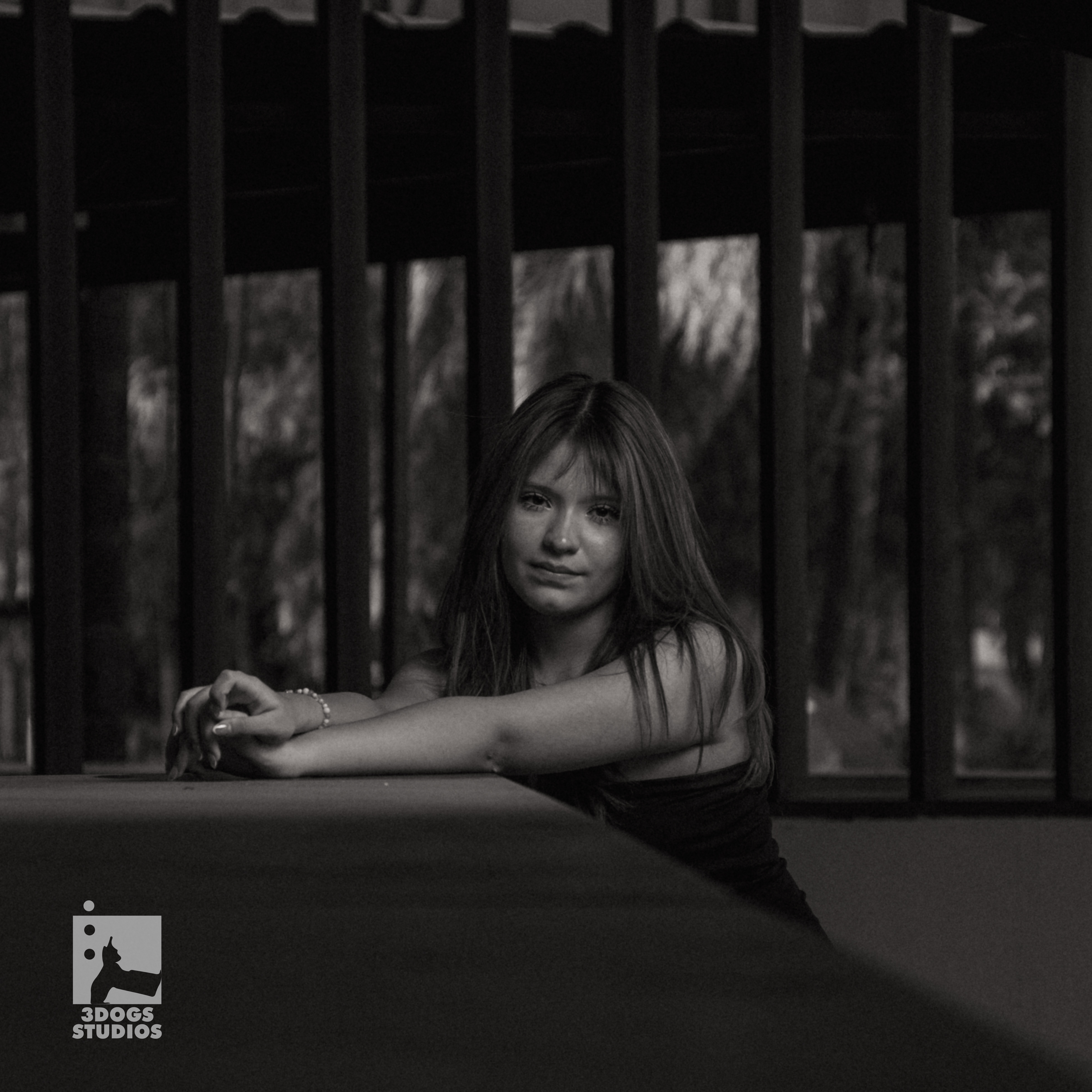 Fotografía Estudio 04 · 3Dogs Studios