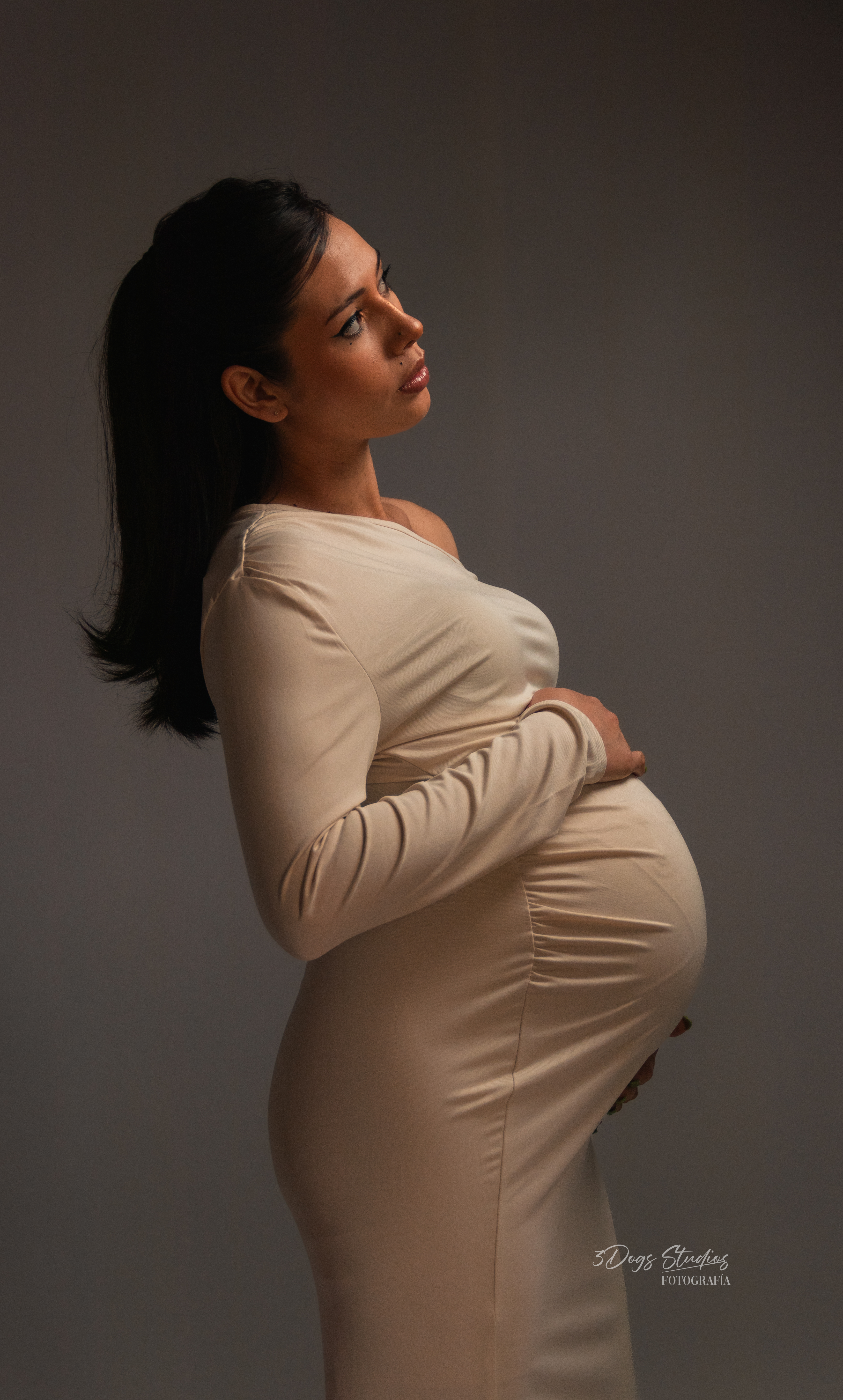 Fotografía Maternidad 07 · 3Dogs Studios
